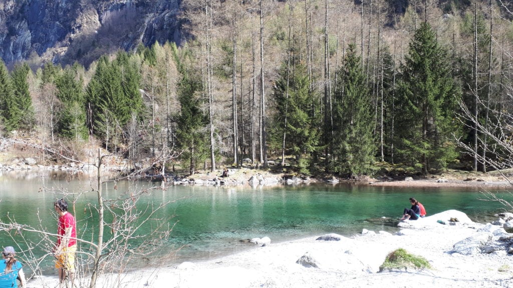 Krystallklar elv mellom granskog i Val di Mello